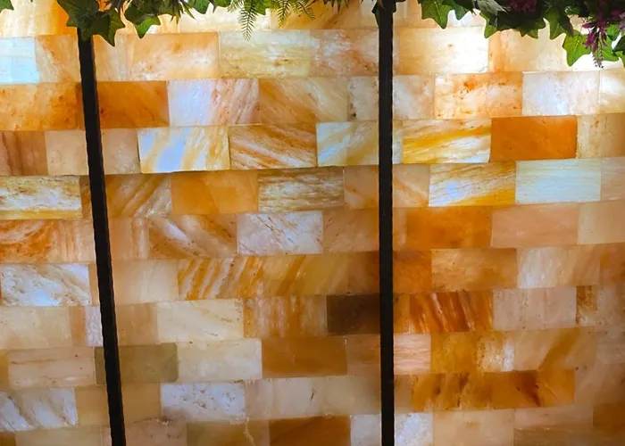 アパートホテル Centar Vitez Kikinda